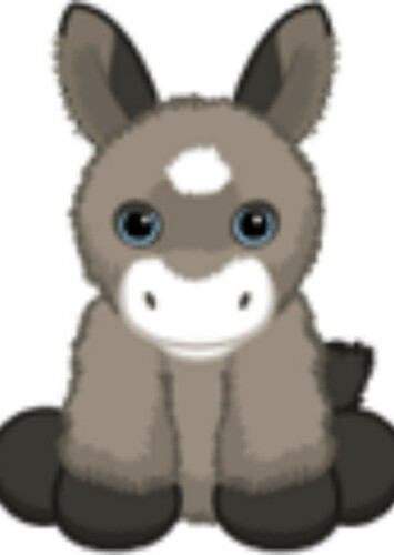 Donkey Foal