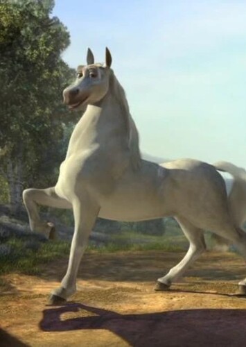 Donkey (Horse)
