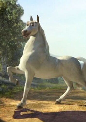 Donkey (Horse)