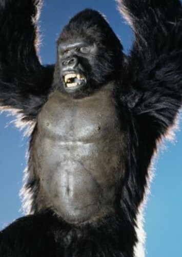 Donkey Kong