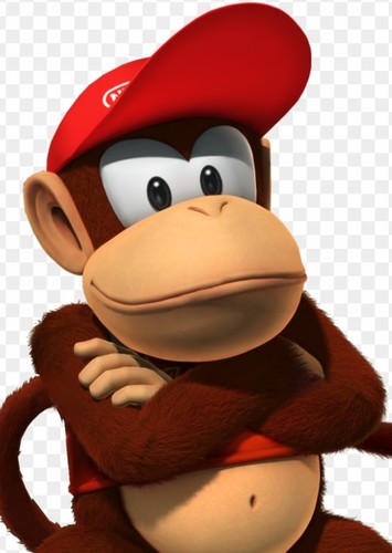 Donkey Kong Jr.