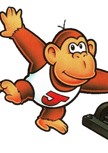 Donkey Kong Jr.