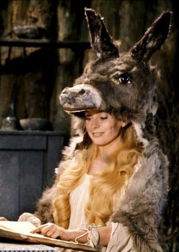 Donkey Skin