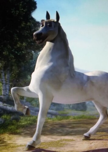 Donkey (Stallion)