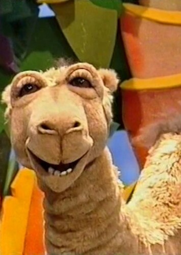 Doreen the Camel