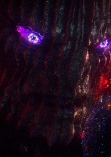 Dormammu