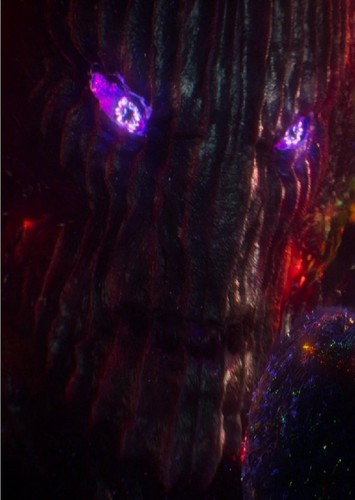 Dormammu