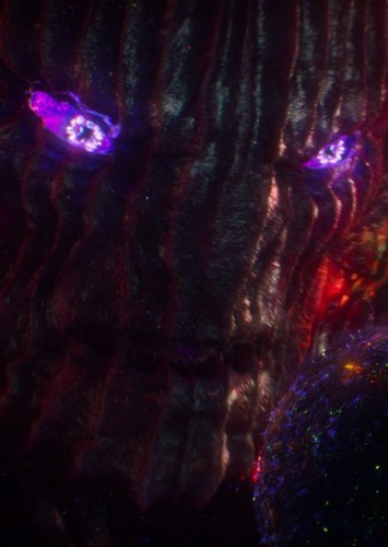 Dormammu