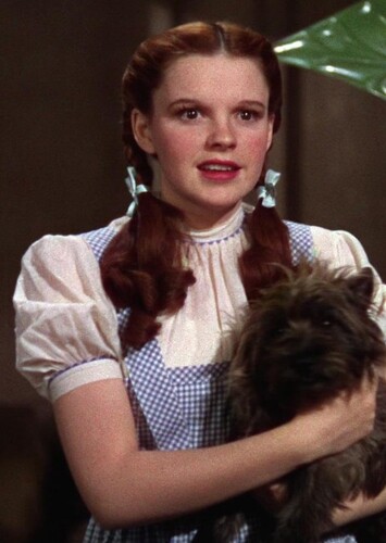 Dorothy Gale (The Wizard of Oz)