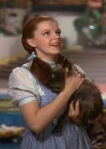 Dorothy Gale (The Wizard of Oz)