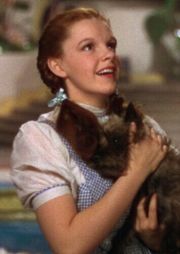 Dorothy Gale (The Wizard of Oz)