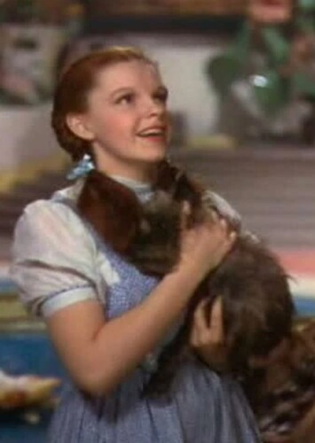 Dorothy Gale (The Wizard of Oz)
