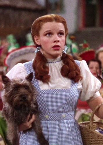 Dorothy Gale (The Wizard of Oz)