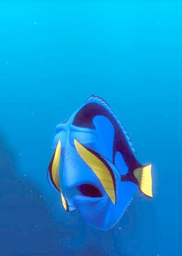 Dory