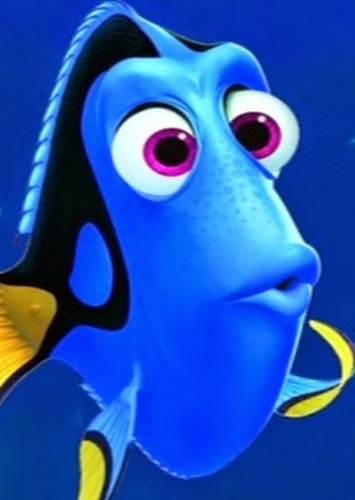 Dory