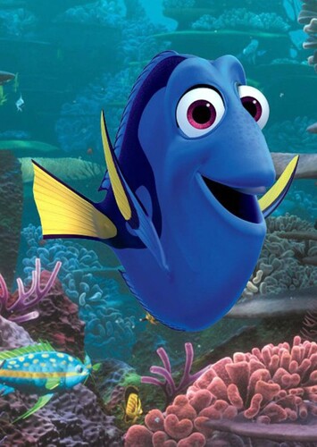 Dory the Blue Tang Fish
