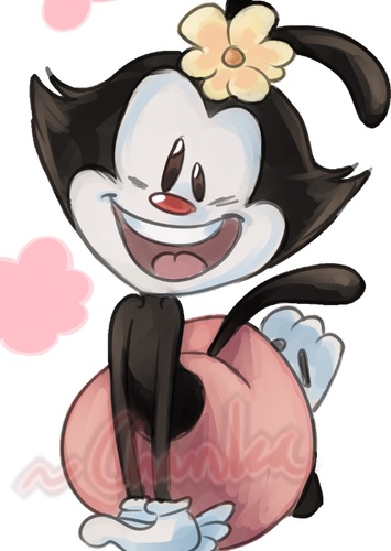 Dot Warner