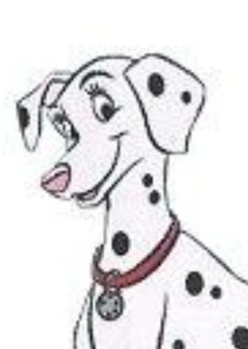 Dottie