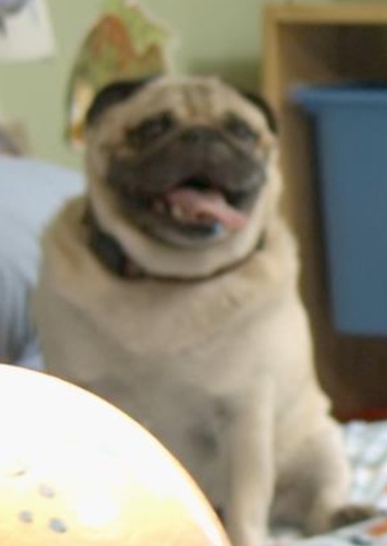 Doug