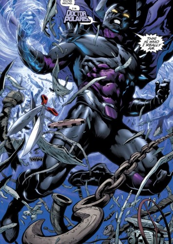 Dr. Polaris