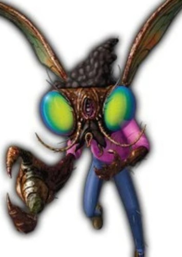 Dr. Stockfly