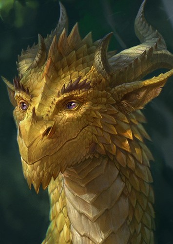 Dragon / Jake