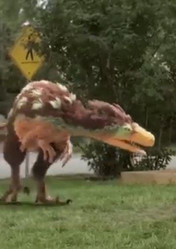 Dromaeosaurus