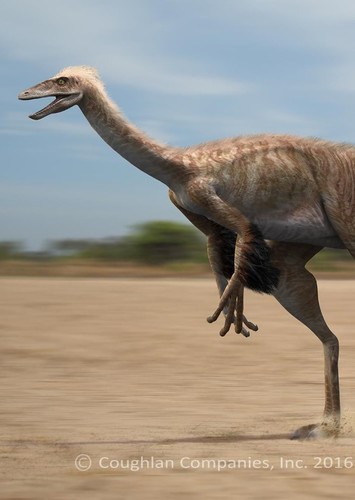 Dromiceiomimus