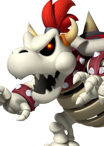 Dry Bowser