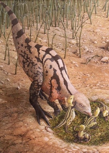 Dryosaurus