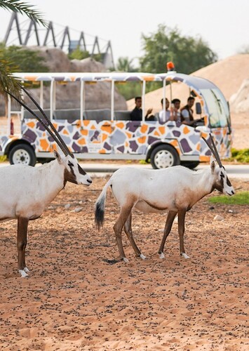 Dubai Safari Park