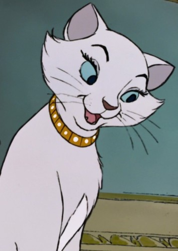 Duchess