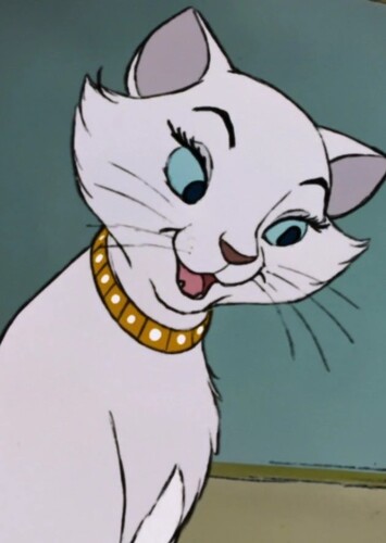 Duchess