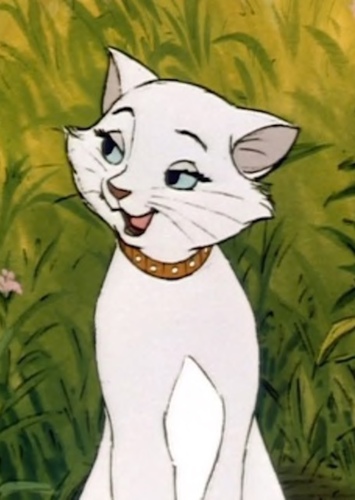 Duchess