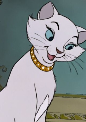 Duchess