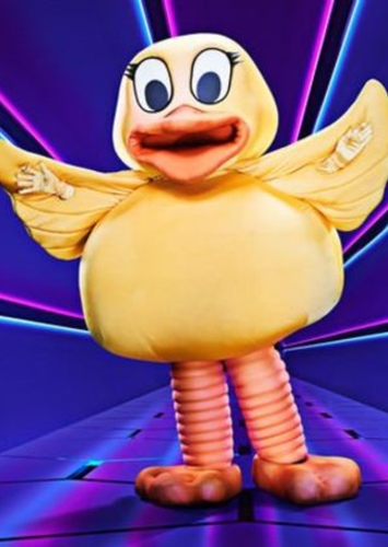 Duck