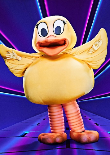 Duck
