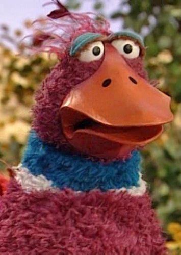 Duck