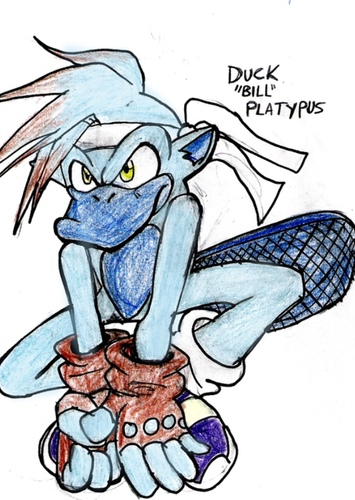 Duck "Bill" Platypus