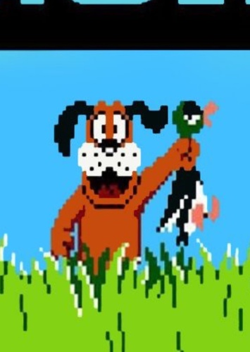 Duck Hunt