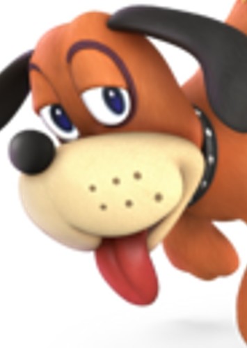 Duck Hunt Dog