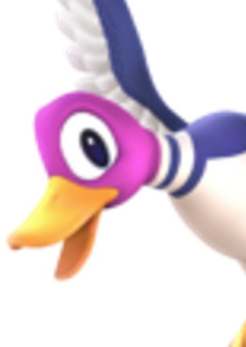 Duck Hunt Duck