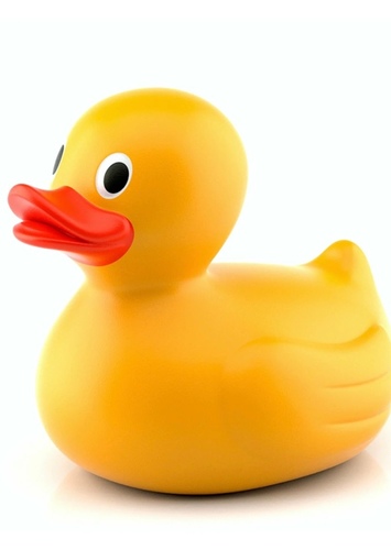 Duck the Rubber Ducky