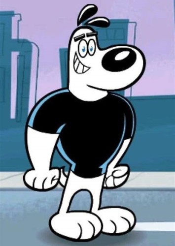 Dudley Puppy