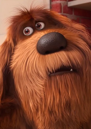 Duke the dog