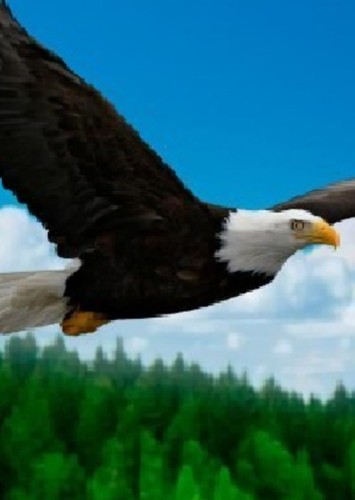 Eagle