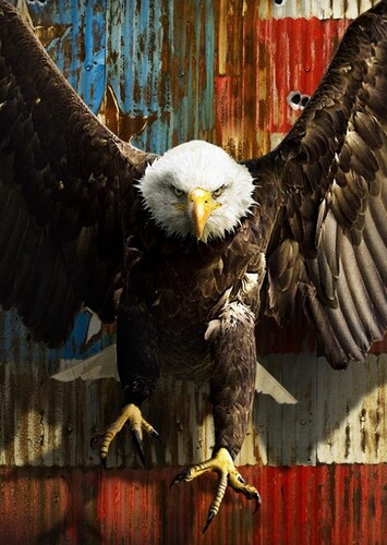 Eagly