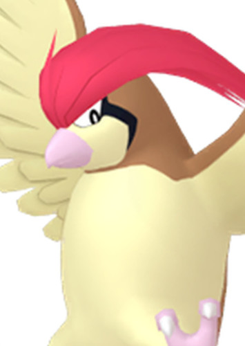 Easton's Pidgeotto