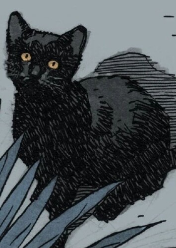 Ebony the Cat