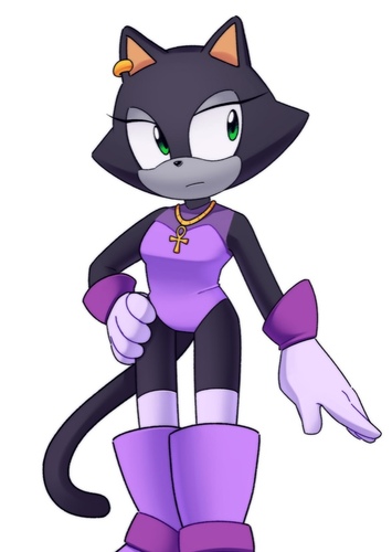 Ebony the Cat